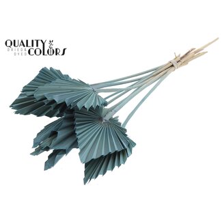 QC Dried Palm Spear | Colour: Frosted Light Blue | Spear-Shaped Palm Leaves | Length ± 50 centimetres | 10 stems per bunch | Per bunch