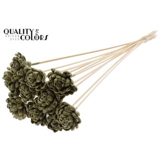 QC Shola Wooden with wax Rose on stem | Colour: Olive green | Shola New Beauty Rose | Diameter 6 centimetre | Length ± 50 centimetre | 10 flower picks per bunch | Per bunch