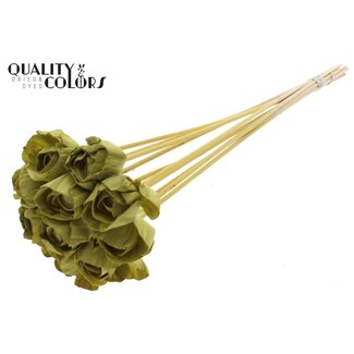 QC Shola Rozen op stok | Kleur: Olijfgroen | Shola Dear Holly | Diameter 6 centimeter | Lengte  ± 50 centimeter | 10 bijstekers per bos | Per bos
