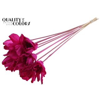 QC Shola Wooden Rose on Stick | Colour: Lilac | Shola Dear Holly Pick | Rose diameter 6 centimetres | Pick length ± 50 centimetres | 10 picks per bunch