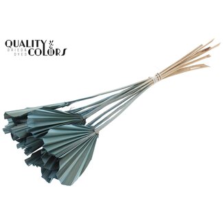 QC Gedroogde Palm Spear Heart | Kleur: Frosted Lichtblauw | Palmbladeren in Hartvorm | Lengte ± 45 centimeter | 10 takken per bos | Per bos