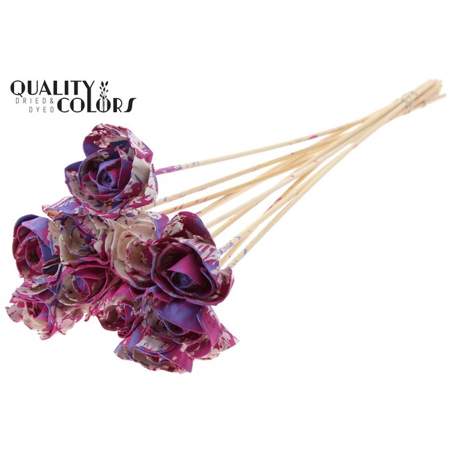 Shola Rose op stok | Couleur: Multicolore Cerise Violet laiteux | Shola Dear Holly | Diamètre 6 centimètre | Longueur  ± 50 centimètre | 10 tiges supplémentaires per bos | Par bos