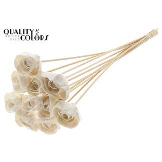 QC Shola Roos met was op stok | Kleur: Wit | Shola Dear Holly | Diameter 6 centimeter | Lengte  ± 50 centimeter | 10 bijstekers per bos | Per bos
