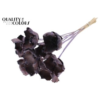 QC Gedroogde Palm Cup op steel | Kleur: Frosted Milkapaars | Lengte ± 50 centimeter | 10 stelen per bos