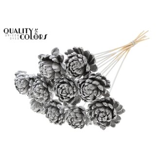 QC Shola Houten Roos op stok | Kleur: Zilverkleurig | Shola New Beauty Rose Bijsteker | Diameter roos 8 centimeter | Lengte bijsteker ± 50 centimeter | 10 bijstekers per bos