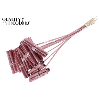 QC Decoratieve Jute Stokjes Boeketje op stok | Kleur: Metallic Rood | Jute Stick Posy Bijsteker | Lengte ± 50 centimeter | 10 bijstekers per bos