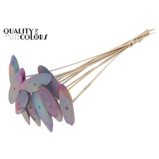 QC Ovalen Houtschijf op stok | Kleur: Verloop Roze | Houtschijf Bijsteker | Diameter 5 - 7 centimeter | Lengte ± 50 centimeter | 10 bijstekers per bos | Per bos