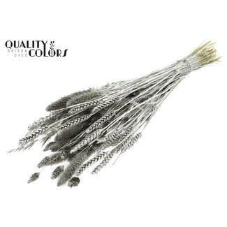 QC Trockenblumenstrauß-Mix | Farbe: Platinfarben | Länge ± 60 Zentimeter | Pro Bund