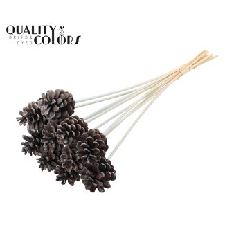 QC Pine cone on stick | Colour: Frosted Light Blue | Diameter 5 - 7 centimetres | Length ± 50 centimetres | 10 picks per bunch