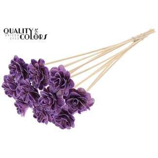 QC Shola Rozen met was op stok | Kleur: Milkapaars | Shola Beetal Rose | Diameter 6 centimeter | Lengte ± 50 centimeter | 10 bijstekers per bos | Per bos