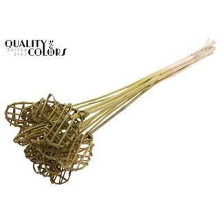 QC Rattan Lata Heart on stick | Colour: Olive green | Lata Heart flat Plant Stake | Length ± 50 centimetres | 10 stakes per bunch