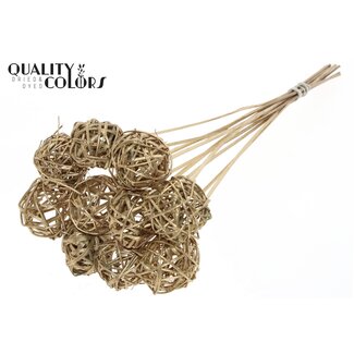 QC Rattan Ball on Stick | Colour: Antique Gold | Bruce Ball Plant Stake | Diameter 5 centimetres | Length ± 50 centimetres | 10 stakes per bunch