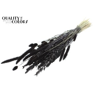 QC Dried Flower Mix Bouquet | Colour: Black | Length ± 60 centimetres | Per bunch