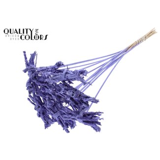 QC Decorative Coco Rose Posy on Stick | Colour: Metallic Purple | Coco Rose Posy Stick | Stick length ± 50 centimetres | 10 sticks per bunch