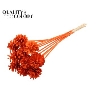 QC Dennenappel op stok | Kleur: Oranje | Diameter 5 - 7 centimeter | Lengte ± 50 centimeter | 10 bijstekers per bos