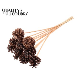 QC Dennenappel op stok | Kleur: Frosted Zalmkleurig | Diameter 5 - 7 centimeter | Lengte ± 50 centimeter | 10 bijstekers per bos