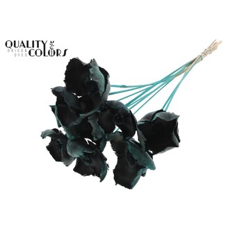 QC Gedroogde Palm Cup op steel | Kleur: Turquoise | Lengte ± 50 centimeter | 10 stelen per bos