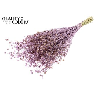 QC Gedroogd Lino Vlas | Kleur: Roze Metallic | Linum Droogbloemen | Lengte ± 50 centimeter | Gewicht 150 gram | Per bos