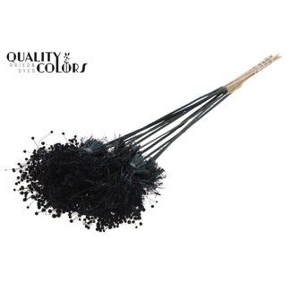 QC Mini Knopfblumensträußchen auf Stiel | Farbe: Schwarz | Mini Button Steckhilfe | Länge ± 50 Zentimeter | 10 Steckhilfen pro Bund