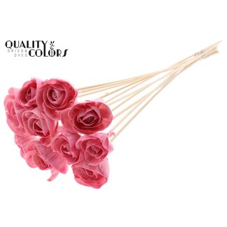QC Shola Roos met was op stok | Kleur: Lichtroze | Shola Dear Holly | Diameter 6 centimeter | Lengte  ± 50 centimeter | 10 bijstekers per bos | Per bos