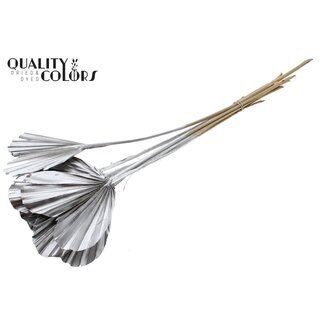 QC Cœur de Lance de Palmier Séché | Couleur : Argenté | Feuilles de Palmier en Forme de Cœur | Longueur ± 45 centimètres | 10 tiges par bouquet | Par bouquet