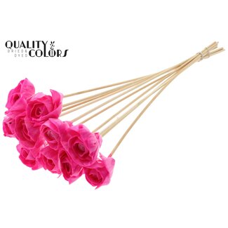QC Shola Rozen met was op stok | Kleur: Kerskleurig | Shola Dear Holly | Diameter 6 centimeter | Lengte  ± 50 centimeter | 10 bijstekers per bos | Per bos