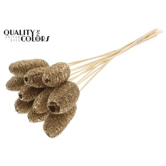 QC Mini Loofah Sponge on a stick | Colour: Antique Gold | Loofah Stick | Length ± 50 centimetres | 10 sticks per bunch