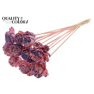 QC Shola Rose on stick | Colour: Speckled Pink Milk Purple | Shola Beauty Rose | Diameter 6 centimeter | Length ± 50 centimeter | 10 picks per bunch | Per bunch