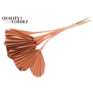 QC Dried Palm Spear Heart | Colour: Frosted Salmon | Heart-Shaped Palm Leaves | Length ± 45 centimetres | 10 stems per bunch | Per bunch