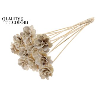 QC Shola Rozen met was op stok | Kleur: Wit | Shola Beetal Rose | Diameter 6 centimeter | Lengte ± 50 centimeter | 10 bijstekers per bos | Per bos
