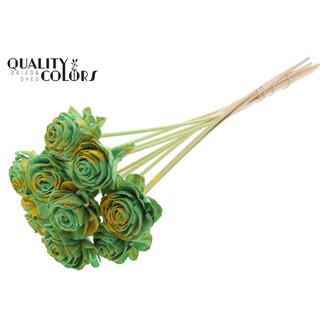 QC Shola Rose on stem | Colour: Speckled Mint Green Yellow | Shola Beauty Rose | Diameter 6 centimetre | Length ± 50 centimetre | 10 picks per bunch | Per bunch