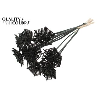 QC Toile d'araignée en rotin Lata sur tige | Couleur : Noir | Toile d'araignée Lata piquet plat | Longueur ± 50 centimètres | 10 piquets par bouquet
