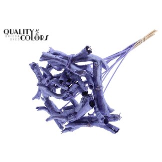 QC Gandiraj Twigs on Stick | Colour: Metallic Purple | Gandiraj Plant Stake | Length ± 50 centimetres | 10 stakes per bunch