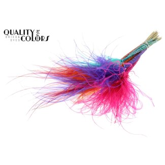 QC Dried Stipa Feather Grass "Colourful 4" | Colour: Mixed Colours | Stypha Penata Dried Flowers | Length ± 60 centimetres | 10 plumes per bunch | Per bunch