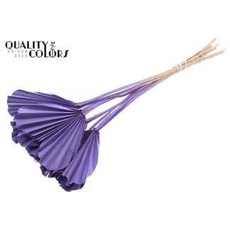 QC Gedroogde Palm Spear Heart | Kleur: Frosted Milkapaars | Palmbladeren in Hartvorm | Lengte ± 45 centimeter | 10 takken per bos | Per bos