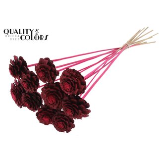 QC Half Pine Cone on Stick | Colour: Cherry | Diameter 5 - 7 centimetres | Length ± 50 centimetres | 10 picks per bunch