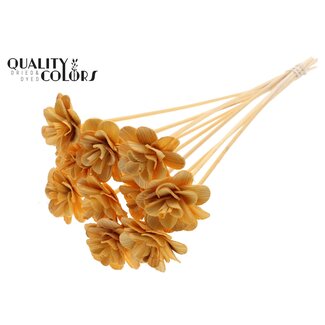 QC Shola Houten Roos op stok | Kleur: Abrikooskleurig | Shola Beetal Rose Bijsteker | Diameter roos 6 centimeter | Lengte bijsteker ± 50 centimeter | 10 bijstekers per bos