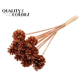 QC Dennenappel op stok | Kleur: Koperkleurig met Glitter | Diameter 5 - 7 centimeter | Lengte ± 50 centimeter | 10 bijstekers per bos