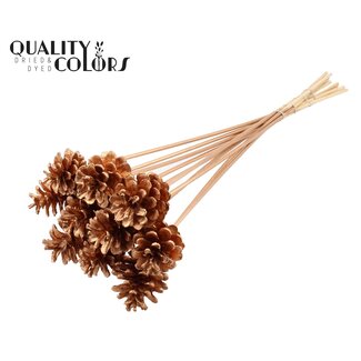 QC Pine cone on stick | Colour: Antique Gold | Diameter 5 - 7 centimetres | Length ± 50 centimetres | 10 picks per bunch