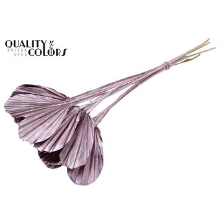 QC Gedroogde Palm Spear Heart | Kleur: Metallic Roze | Palmbladeren in Hartvorm | Lengte ± 45 centimeter | 10 takken per bos | Per bos
