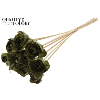 QC Shola Roos met was op stok | Kleur: Olijfgroen | Shola Dear Holly | Diameter 6 centimeter | Lengte  ± 50 centimeter | 10 bijstekers per bos | Per bos
