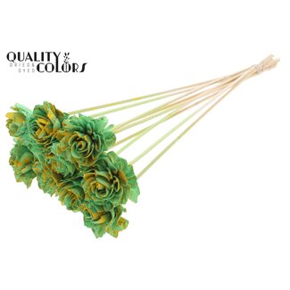 QC Shola Dahlia on stem | Colour: Speckled Mint green Yellow | Shola Dhalya | Diameter 6 centimetre | Length ± 50 centimetre | 10 auxiliary stems per bunch | Per bunch