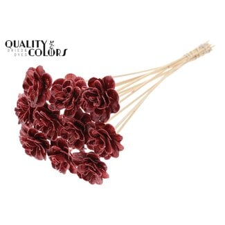QC Shola Roos met was op stok | Kleur: Bordeauxrood | Shola Beetal Rose | Diameter 6 centimeter | Lengte ± 50 centimeter | 10 bijstekers per bos | Per bos