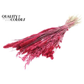 QC Bouquet of Dried Flower Mix | Colour: Cherry-Coloured | Length ± 60 centimetres | Per bunch