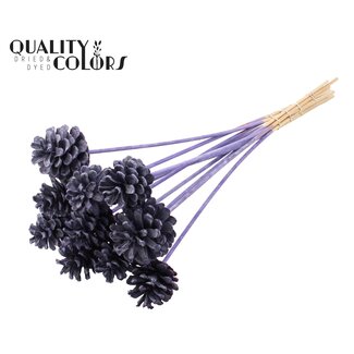 QC Pomme de pin sur tige | Couleur : Violet givré | Diamètre 5 - 7 centimètres | Longueur ± 50 centimètres | 10 piques par bouquet