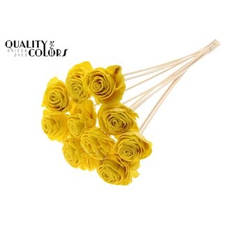 QC Shola Rose with wax on stem | Colour: Yellow | Shola Beauty Rose | Diameter 6 centimetre | Length ± 50 centimetre | 10 picks per bunch | Per bunch