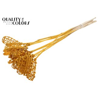 QC Rattan Lata Heart on stick | Colour: Apricot | Lata Heart flat Plant Stake | Length ± 50 centimetres | 10 stakes per bunch