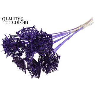 QC Toile d'araignée en rotin Lata sur tige | Couleur : Violet | Toile d'araignée Lata plate pour décoration | Longueur ± 50 centimètres | 10 décorations par bouquet