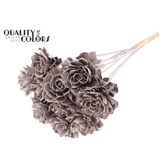 QC Shola Houten Dahlia op stok | Kleur: Champagnekleurig | Shola Dahlia Bijsteker | Diameter bloem 6 centimeter | Lengte bijsteker ± 50 centimeter | 10 bijstekers per bos