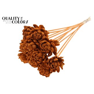 QC Shola Wooden Rose on Stick | Colour: Terracotta | Shola New Beauty Rose Stick | Rose Diameter 6 centimetres | Stick Length ± 50 centimetres | 10 sticks per bunch